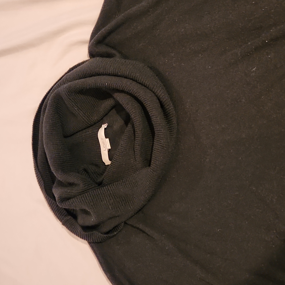 LOFT Sweater